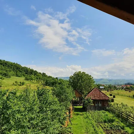 Gasthof Pensiunea Ilea